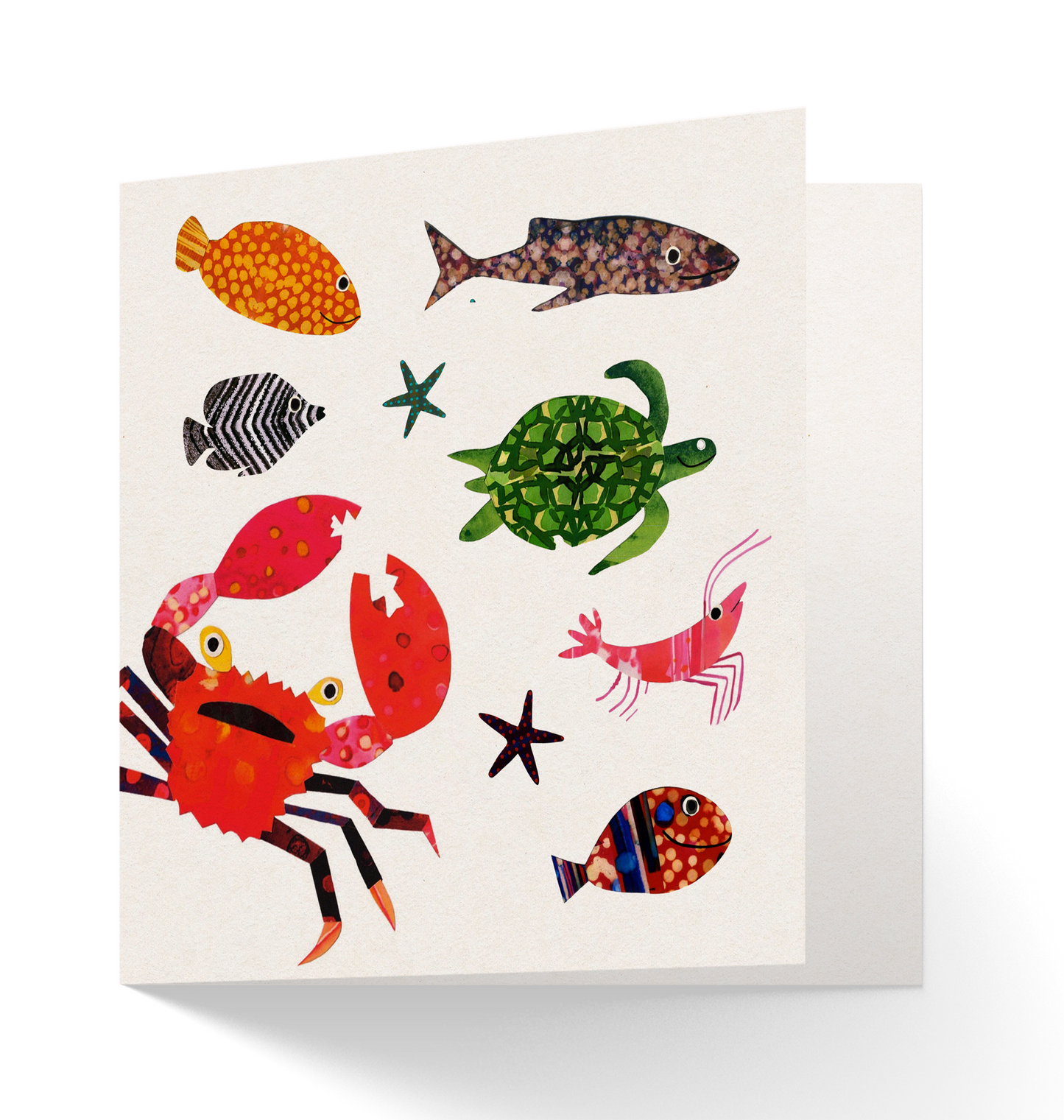 Sealife Greetings Card