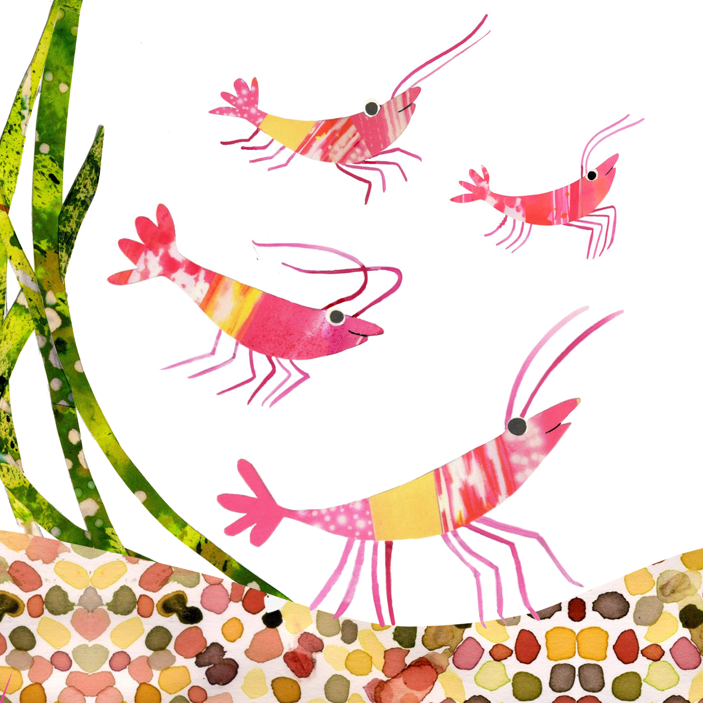 Nature collection of four greeting cards