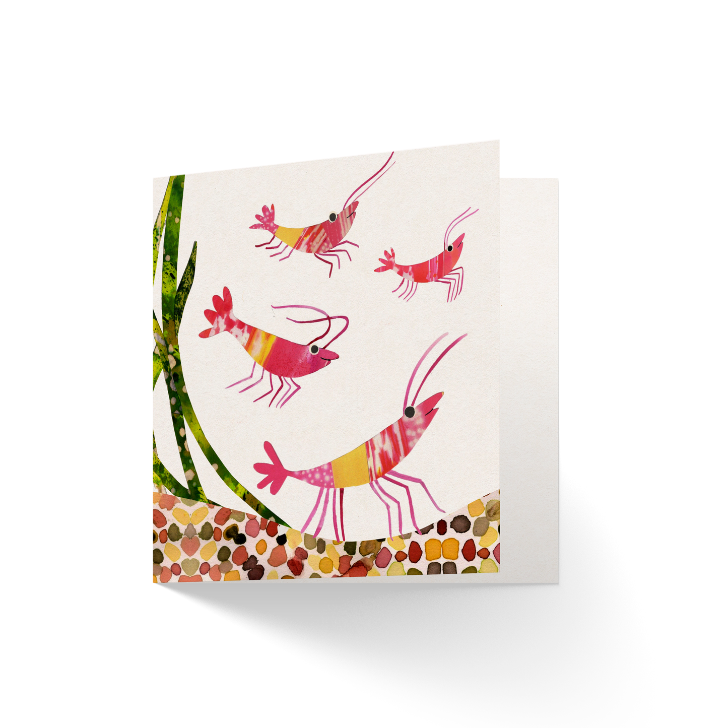 Nature collection of four greeting cards