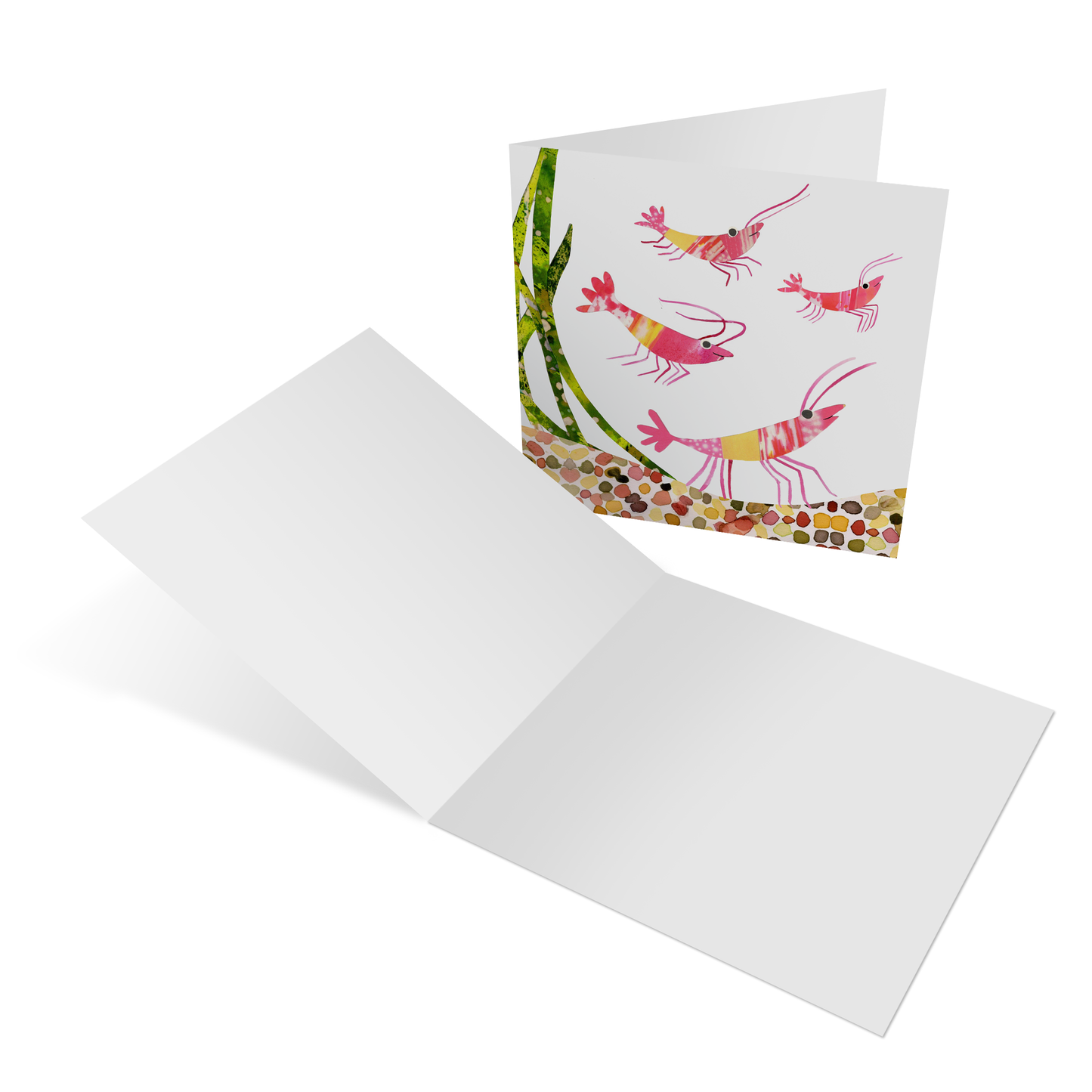 Nature collection of four greeting cards