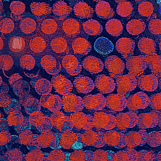 signature texture fine art print - limited edition - fine art - Sarah Millin